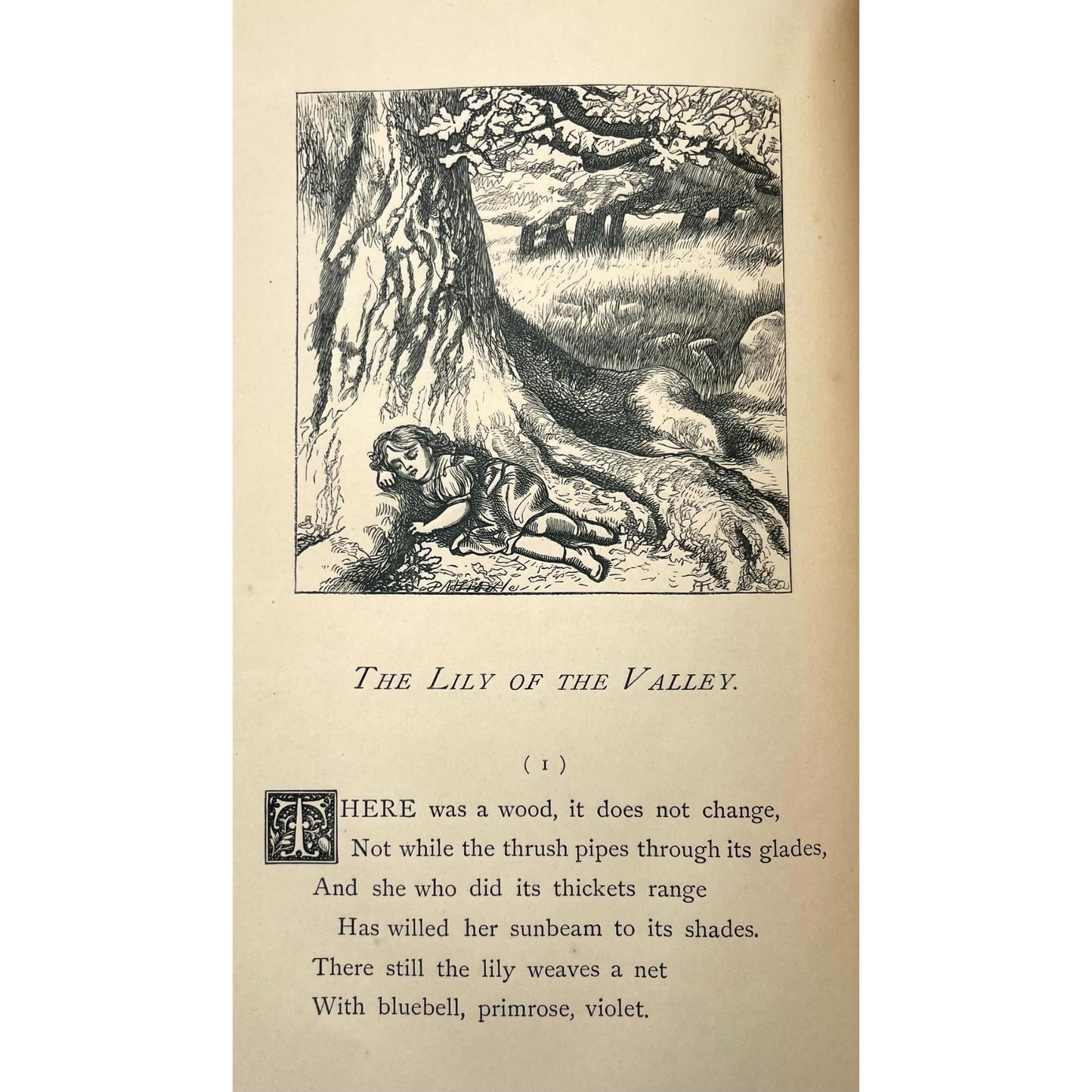 Parables and Tales