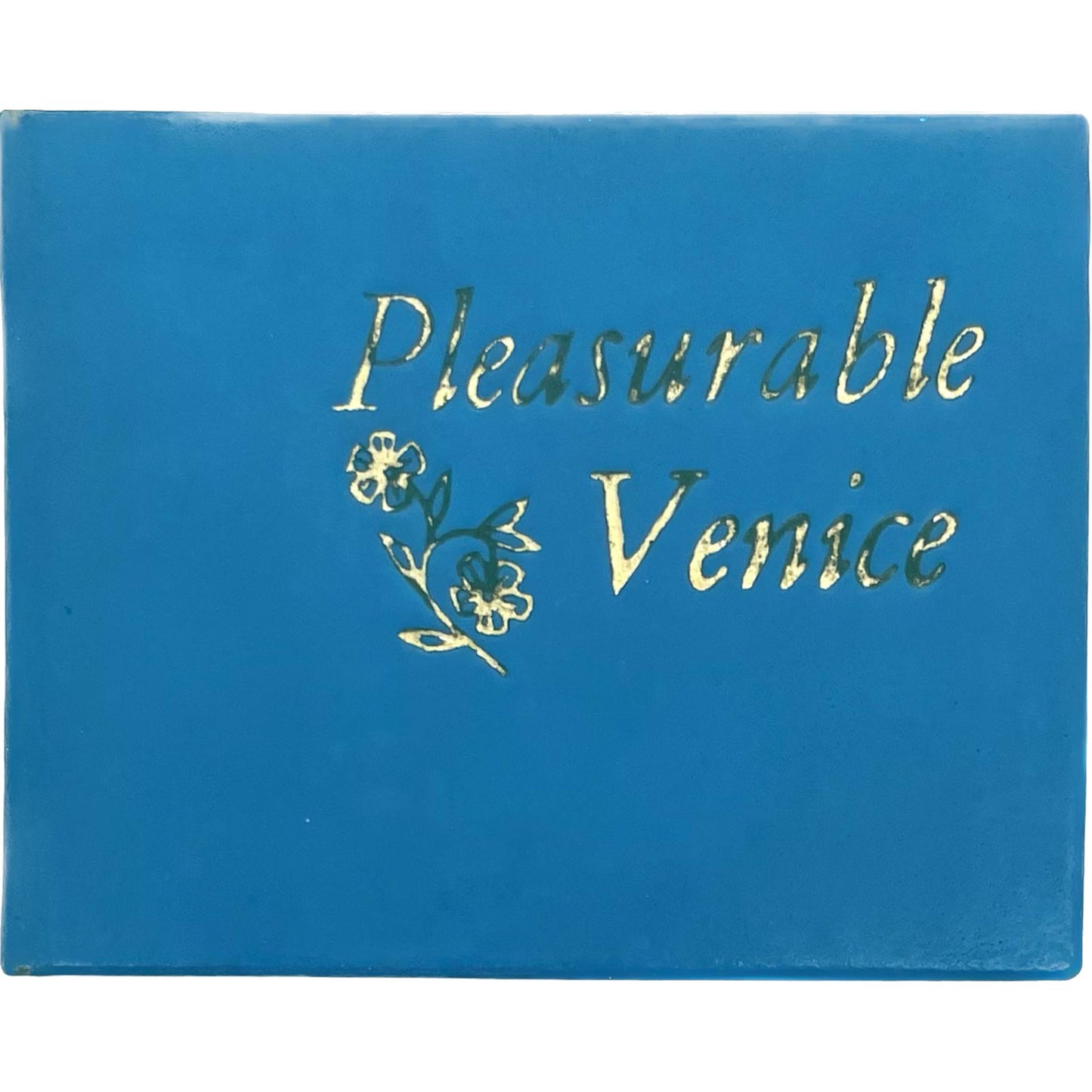 Pleasurable Venice
