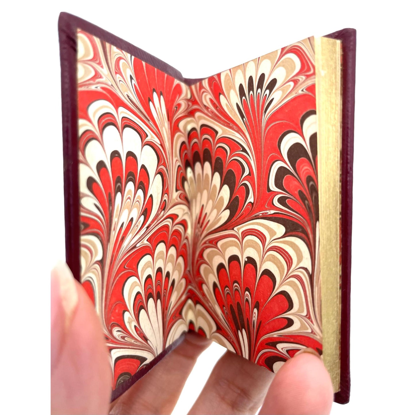 Book Interlude