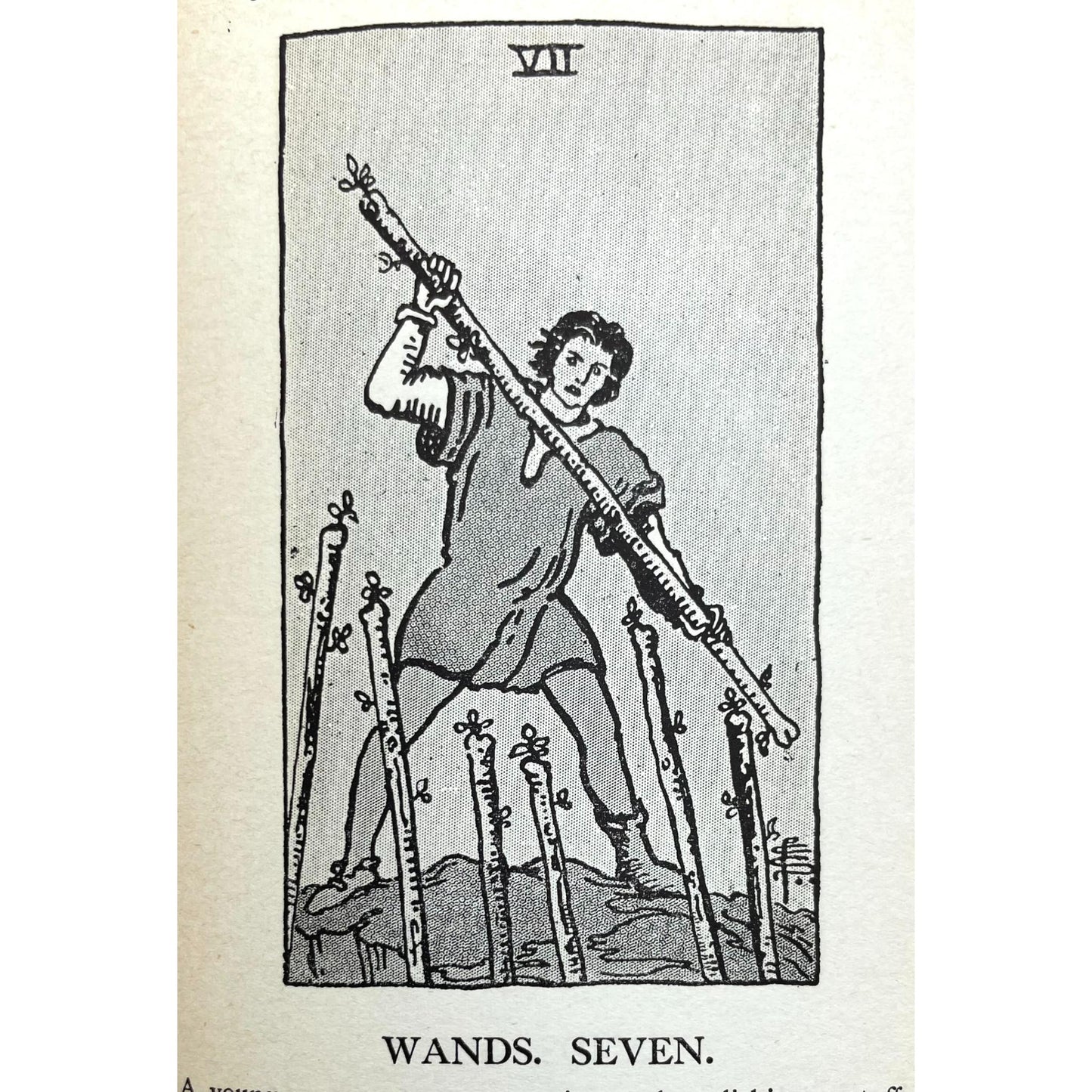 The Illustrated Key to the Tarot: The Veil of Divination Illustrating the Greater and Lesser Arcana ...