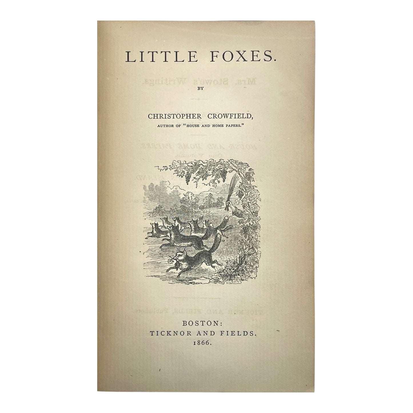 Little Foxes