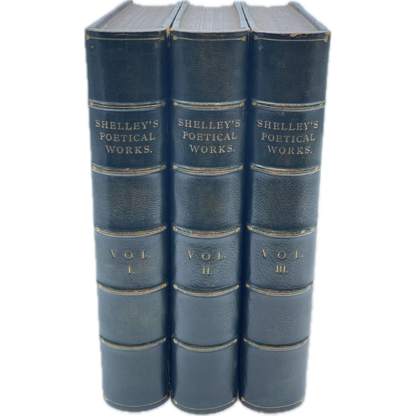 The Complete Poetical Works of Percy Bysshe Shelley [Vol. 1-3]