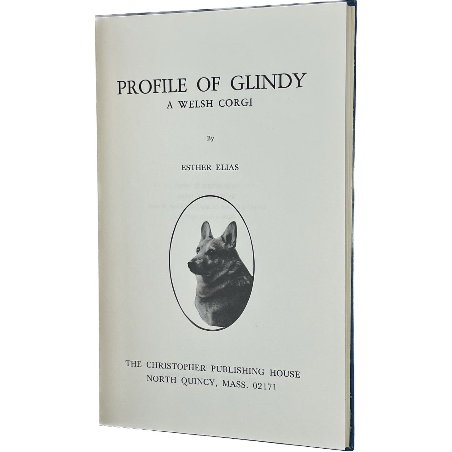 Profile of Glindy: A Welsh Corgi
