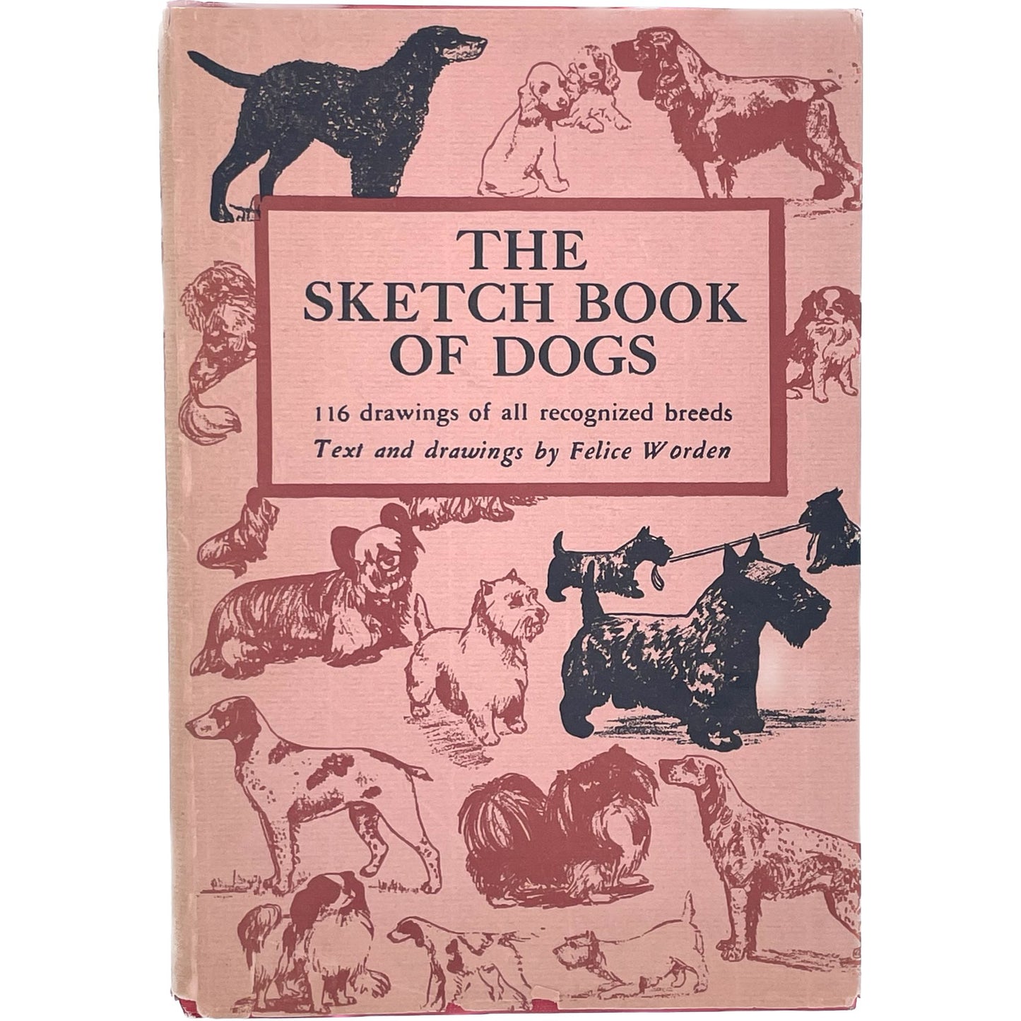 The Sketch Book of Dogs: 116 Drawings of All Recognized Breeds