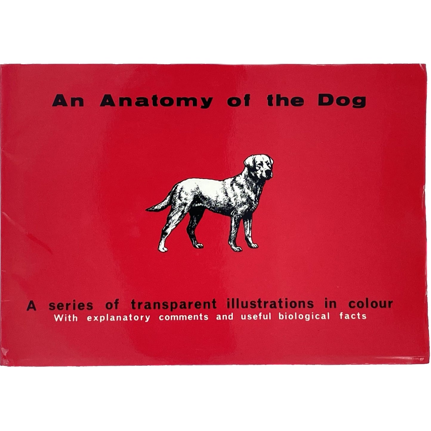 An Anatomy of the Dog: A Series of Transparent Illustrations in Colour with Explanatory Comments and Useful Biological Facts