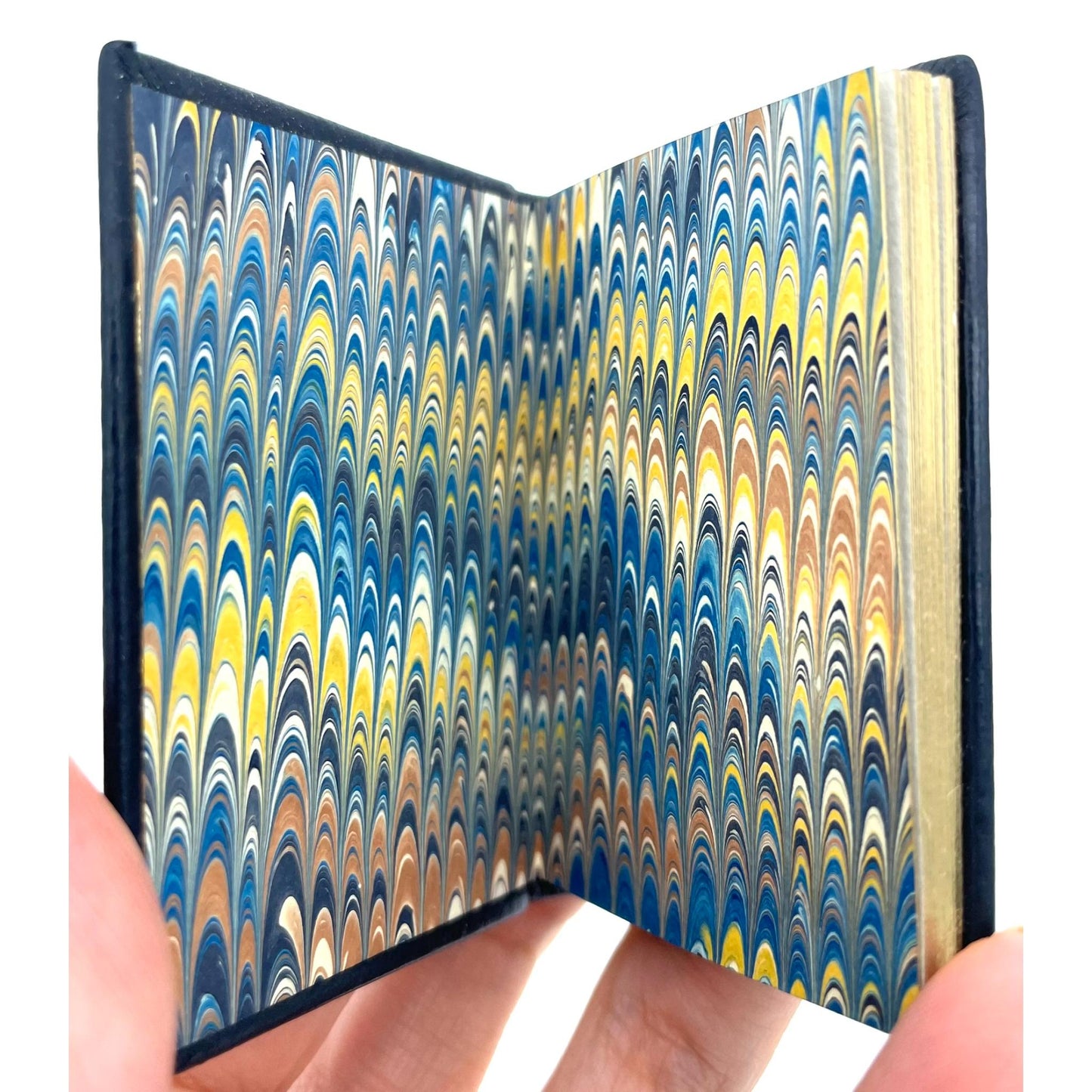 Publisher's Favorite: Six Essays by Publishers of Miniature Books
