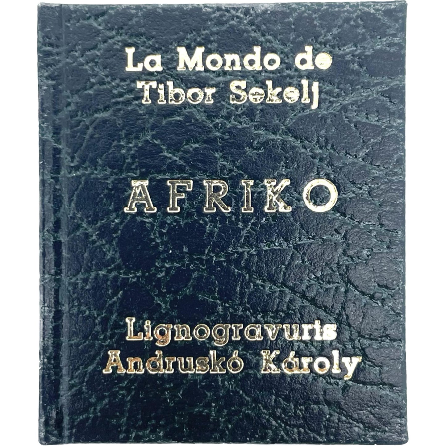 Afriko; Ameriko; Azio; Europo; Oceanio