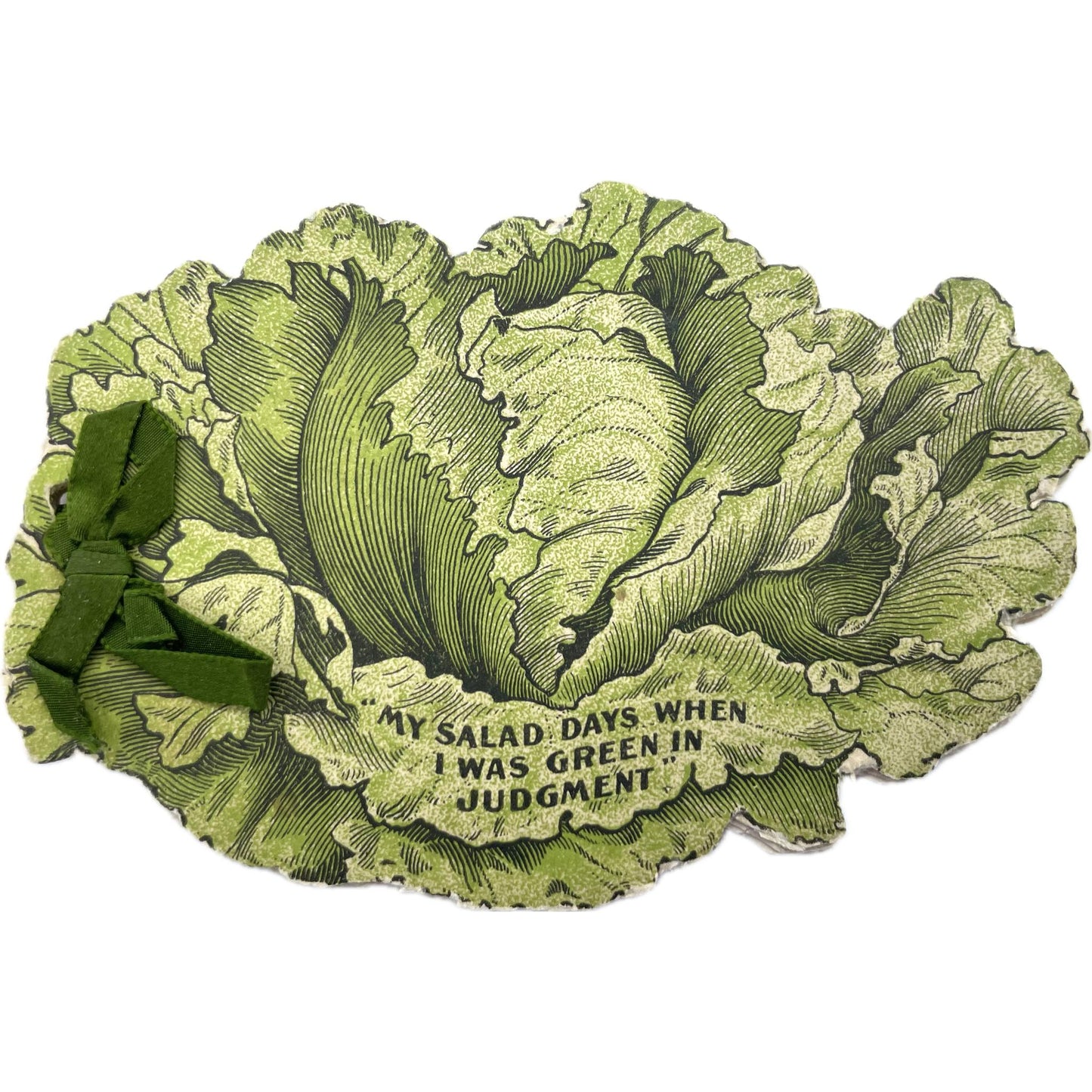 Fables in Slams [Cover title: "My Salad Days When I Was Green in Judgment"]