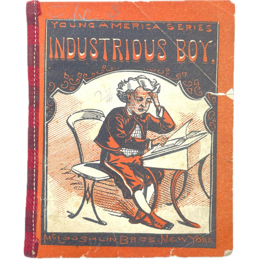 Industrious Boy