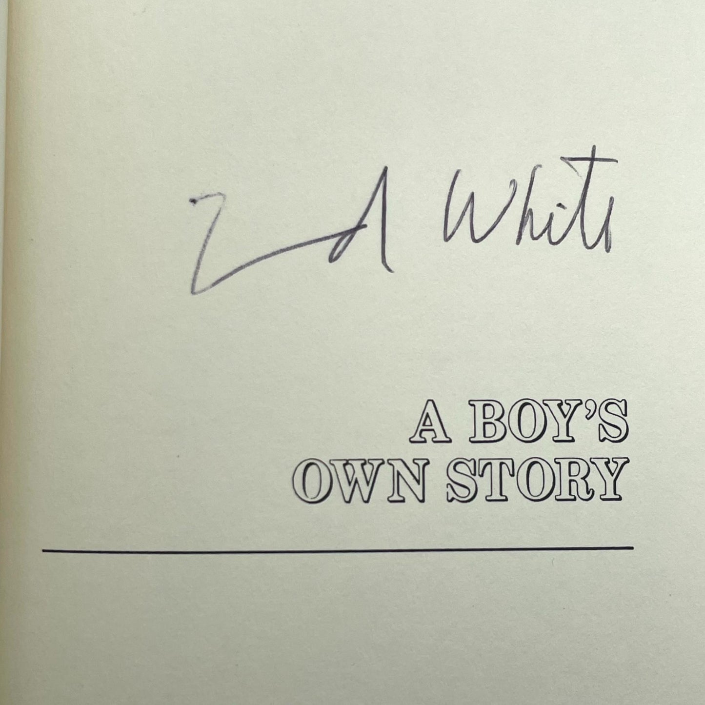 A Boy's Own Story