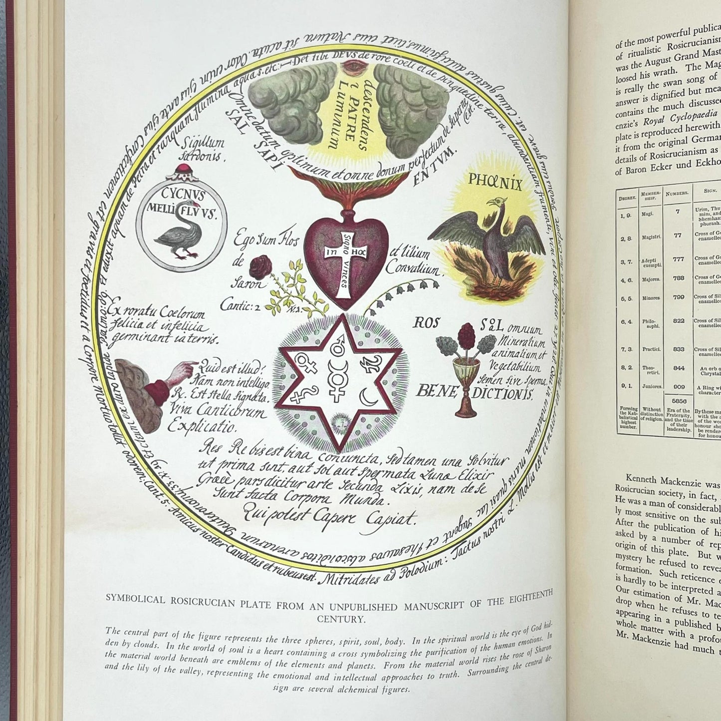 Codex Rosae Crucis: A Rare and Curious Manuscript of Rosicrucian Interest, Now Published for the First Time in its Original Form