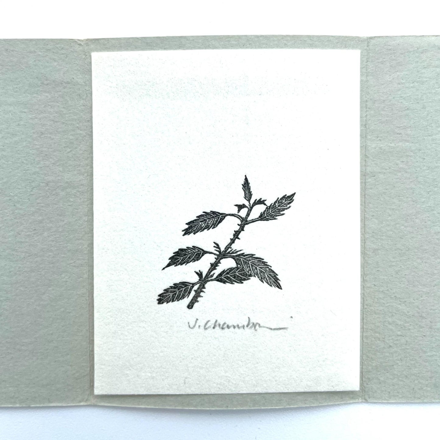 Keepsake: MBS Conclave VI