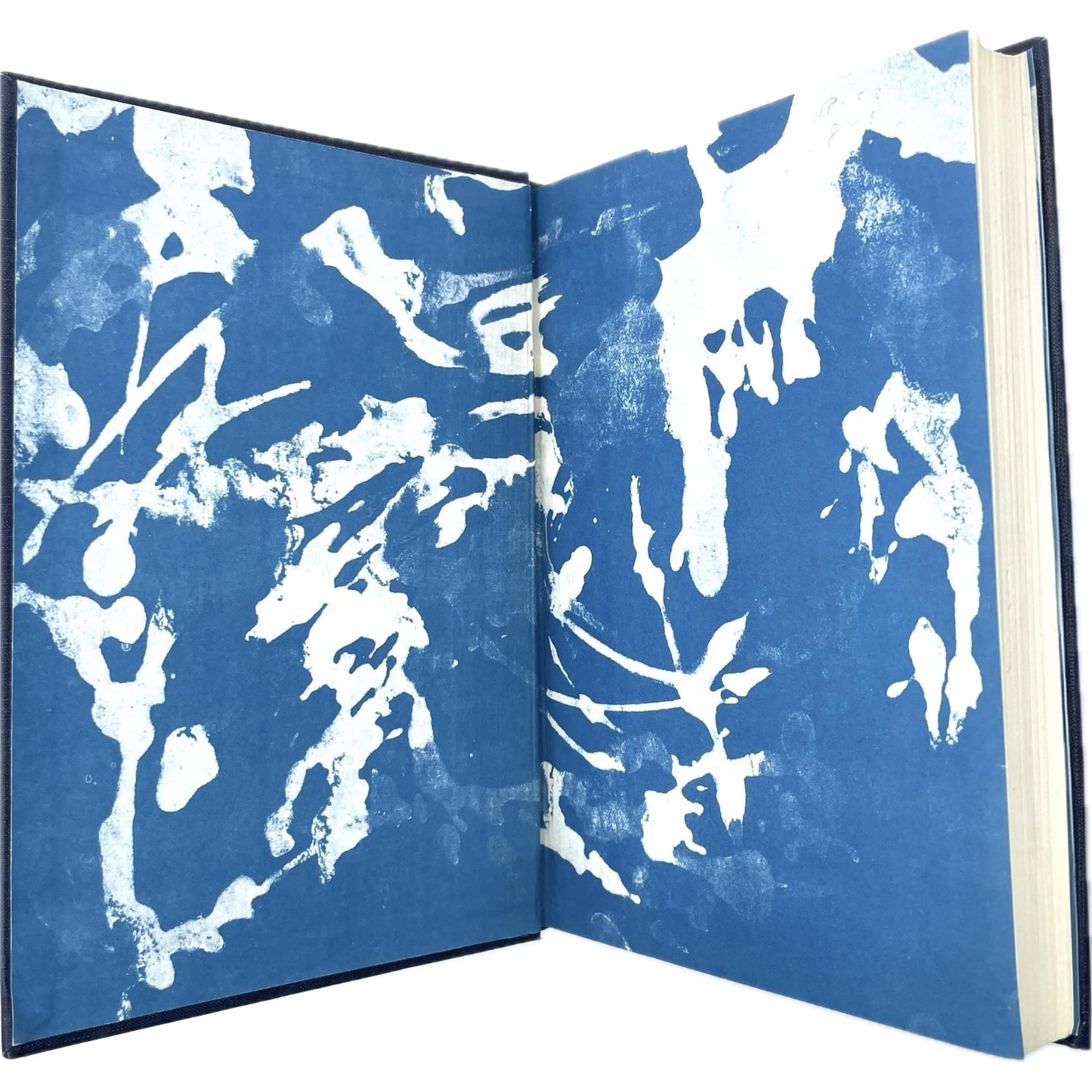 Under the Sea-Wind: A Naturalist's Picture of Ocean Life