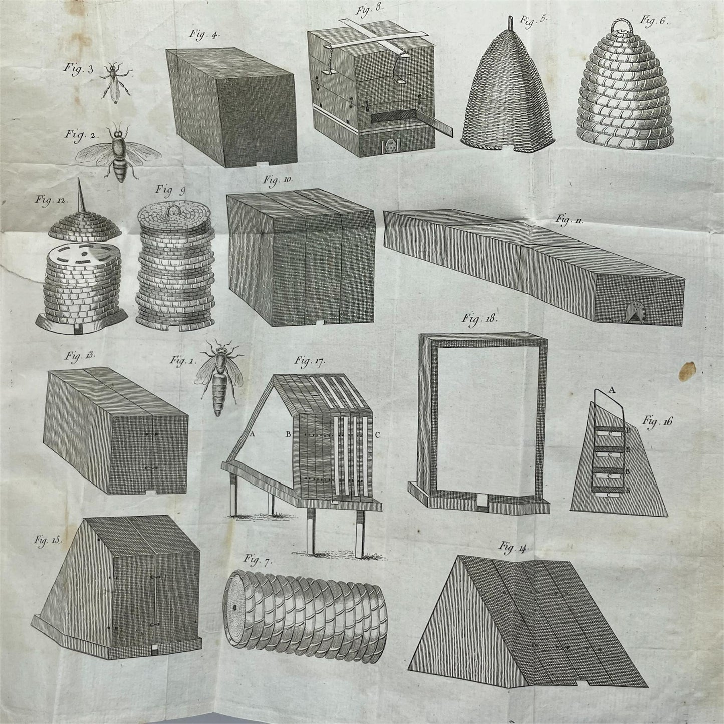 Traité complet théorique et pratique sur les abeilles