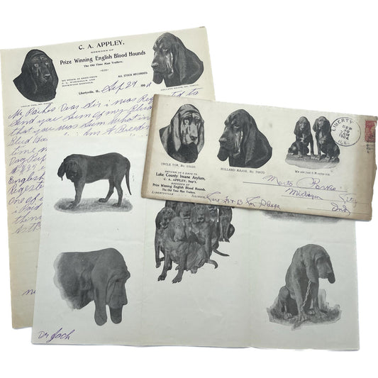 [Autograph letter signed from C.A. Appley to Merto Parkis regarding English bloodhounds]